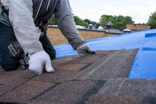 Best Roof Gutter Cleaning  in Schler Park, IL