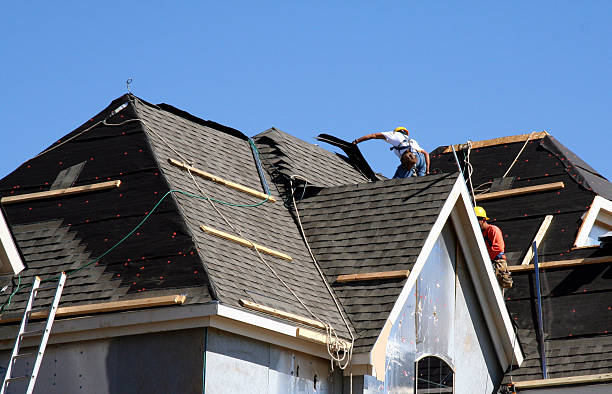 Best Local Roofing Companies  in Schler Park, IL