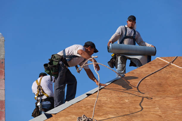 Best Roof Maintenance Services  in Schler Park, IL