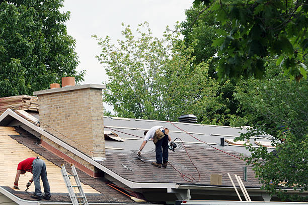 Best Emergency Roof Repair  in Schler Park, IL