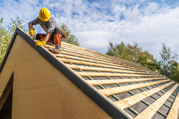 Roof Gutter Cleaning in Schiller Park, IL