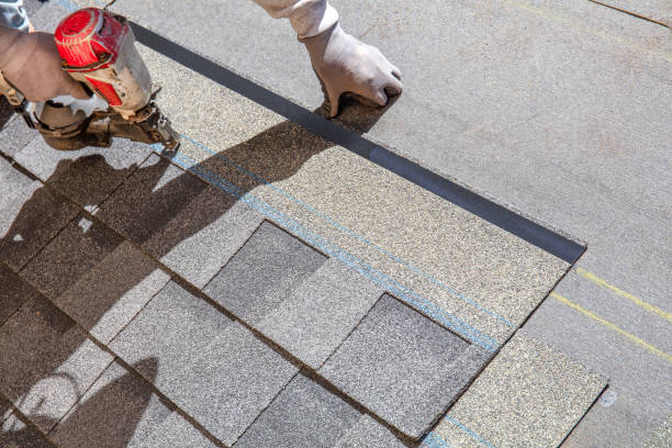 Best Roof Waterproofing Services  in Schler Park, IL