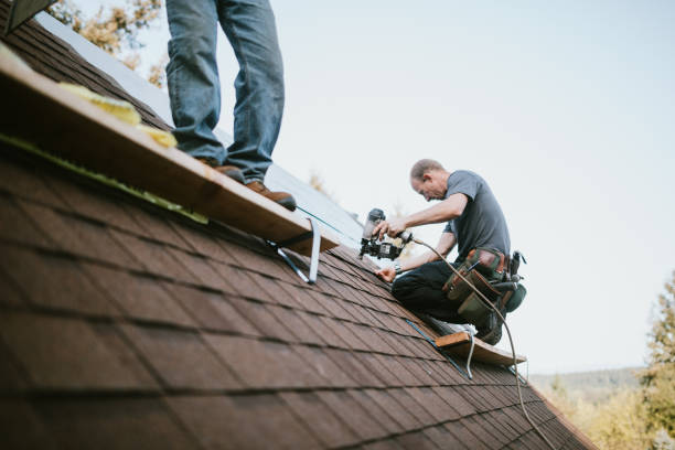 Best Flat Roof Repair Services  in Schler Park, IL